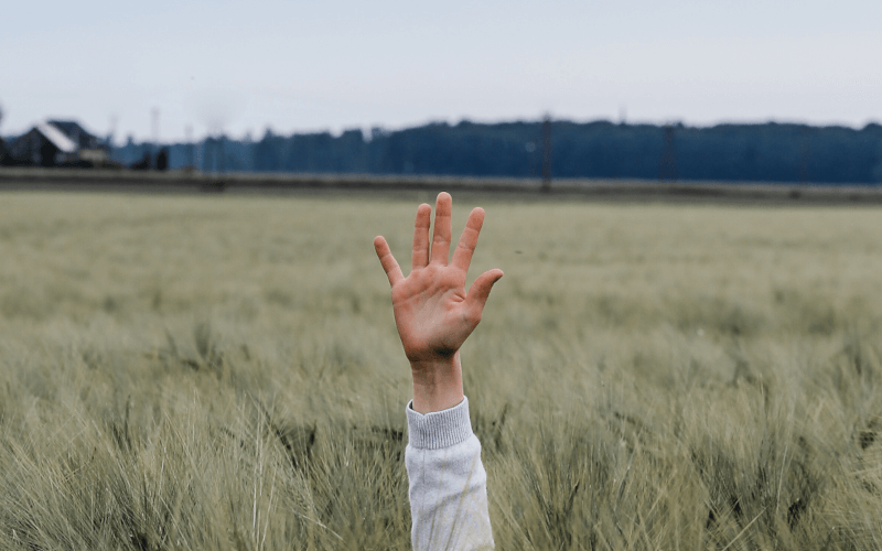 Five tips on how to make you practice website a valuable business asset